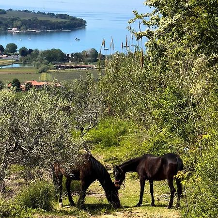 Apartmán Na Kmetiji S Konji - Pogelsek Ankaran Exteriér fotografie