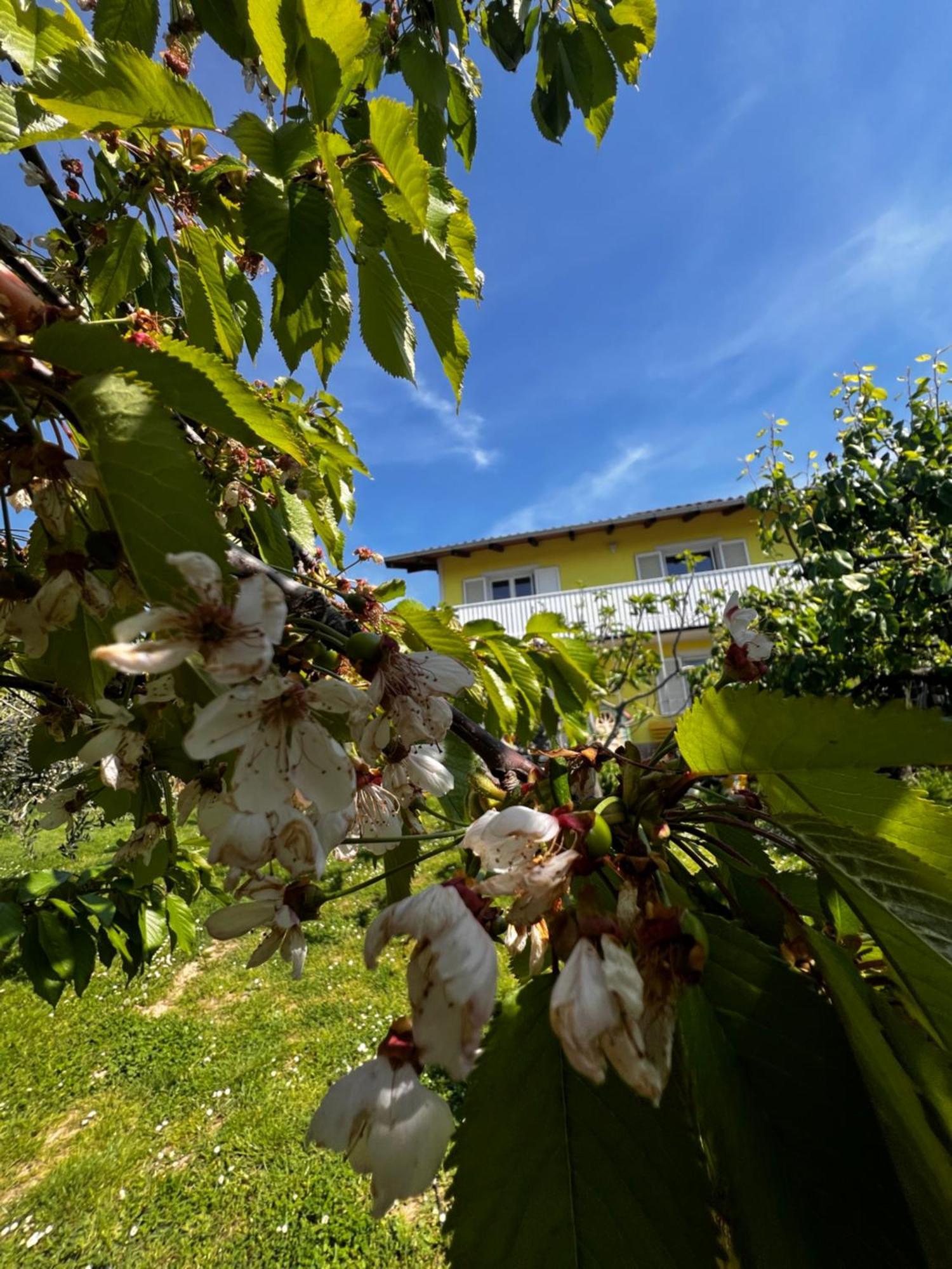 Apartmán Na Kmetiji S Konji - Pogelsek Ankaran Exteriér fotografie
